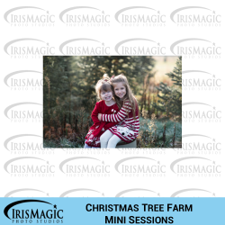Christmas Tree Farm Mini Sessions